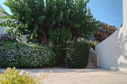 Jardín al aire libre en Fillosia