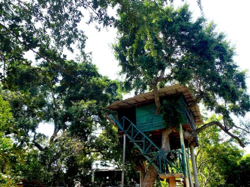 Jardín al aire libre en Single Trees Yala
