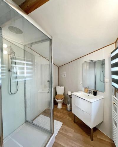une salle de bain avec une douche, un lavabo et des toilettes dans l'établissement Logement paisible avec parking, à La Rochelle