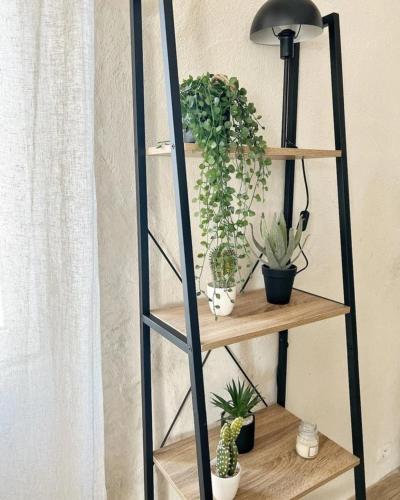 une étagère avec des plantes en pot et une lampe dans l'établissement Logement paisible avec parking, à La Rochelle
