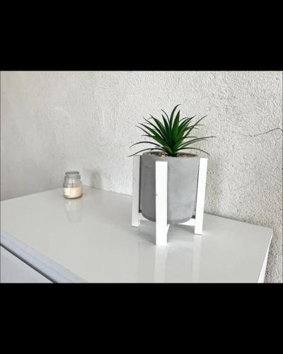 une plante dans un pot blanc assise sur une table dans l'établissement Logement paisible avec parking, à La Rochelle