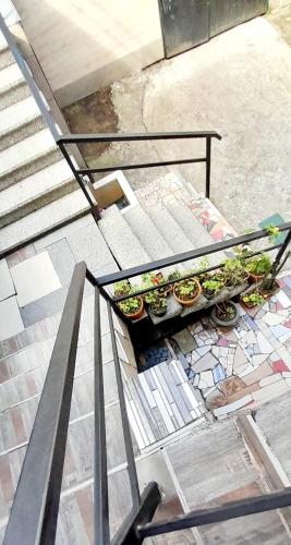 a group of potted plants on a metal railing at Guesthouse Qeti in Batumi