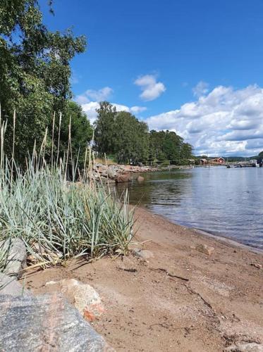 a body of water with a sandy shore with trees at Accommodation close to the ocean on the West Coast in Uddevalla