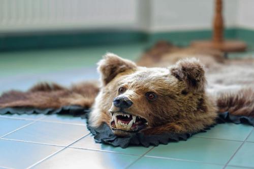 Un oso pardo de peluche tendido en el suelo en Pensiunea La Maison, en Bran