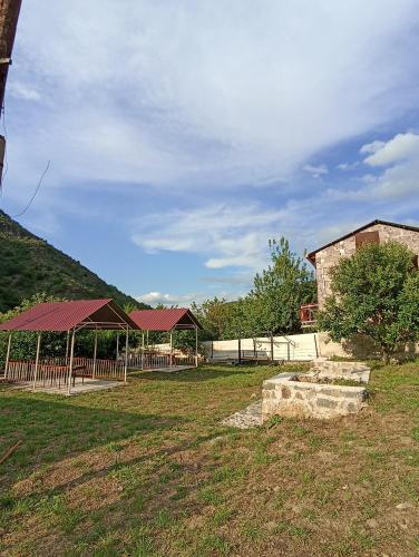 Κήπος έξω από το Forest Guest House