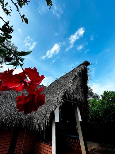a house with a straw roof with red flowers on it at Boomerang community in Auroville