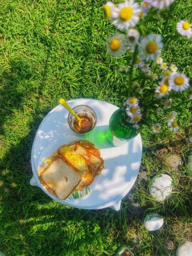 a plate of food on the grass with a drink at Canvas and Coffee in Kasol