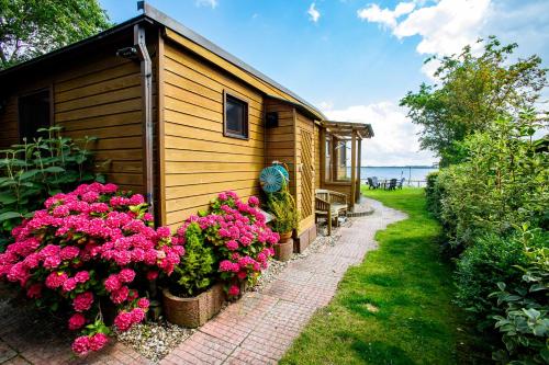 a small cabin with pink flowers next to a sidewalk at Meerzicht, 6-persoons aan het Lauwersmeer Friesland in Anjum