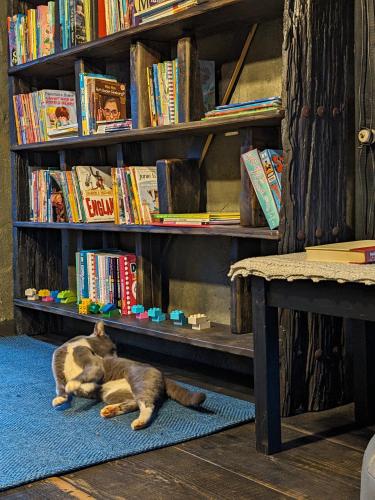 a cat laying on a rug in front of a book shelf at Ivy Coffee Farm - Cabin House in Ðưc Trọng