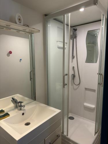 une salle de bain avec un lavabo et une douche dans l'établissement Très beau Studio 9eme, à Marseille