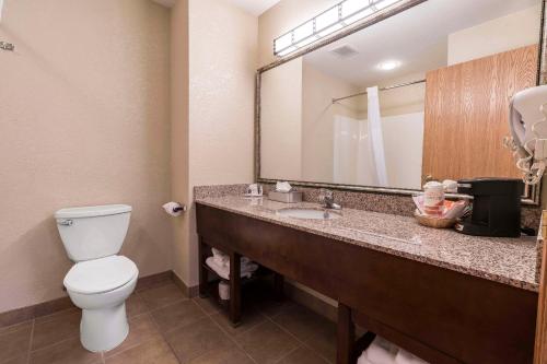 a bathroom with a toilet and a sink with a mirror at Comfort Inn & Suites Walla Walla in Walla Walla