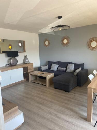 un salon avec un canapé et une table dans l'établissement Appartement proche thermes,lac, à Saint-Paul-lès-Dax