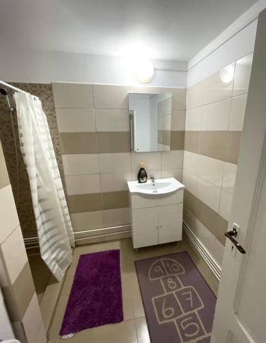 a small bathroom with a sink and a mirror at Canadian House in Sărata-Monteoru