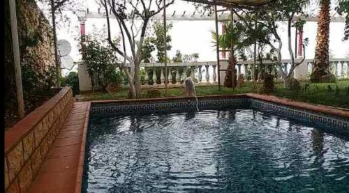 a swimming pool in a yard with trees at Alger avec vue imprenable sur la Baie d'Alger Piscine Balcon Terrasse in El Mouradia