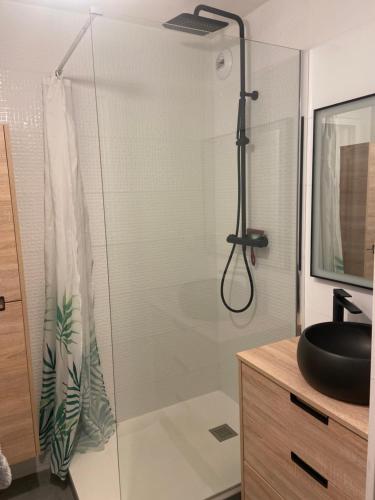 une salle de bain avec une douche en verre avec un lavabo dans l'établissement Appartement proche thermes,lac, à Saint-Paul-lès-Dax