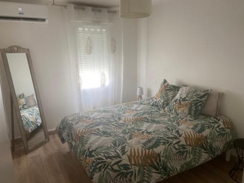 une chambre avec un lit, un miroir et une fenêtre dans l'établissement Appartement proche thermes,lac, à Saint-Paul-lès-Dax