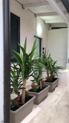 Ein Garten an der Unterkunft Komodo Rooms
