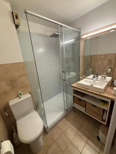une salle de bain avec une douche, des toilettes et un lavabo dans l'établissement La Plage dorée Appartement T1 Magnifique vue mer, à Sanary-sur-Mer