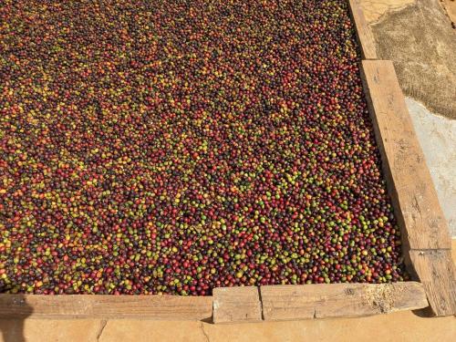 a large pile of fruit in a wooden box at Ivy Coffee Farm - Garden House in Ðưc Trọng