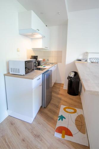 une cuisine avec un évier et un micro-ondes dans l'établissement L'Eclipse Amboisienne - Appart. 2 pers., à Amboise