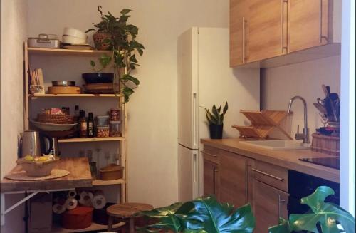 une cuisine avec des armoires en bois et un réfrigérateur blanc dans l'établissement Appartement de charme, à Avignon