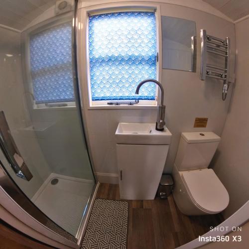 a bathroom with a toilet and a sink and a shower at Alices Garden Two in York