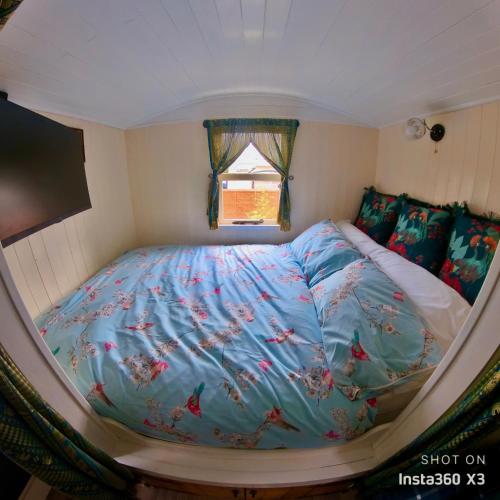 a bed in a small room with a window at Alices Garden Two in York