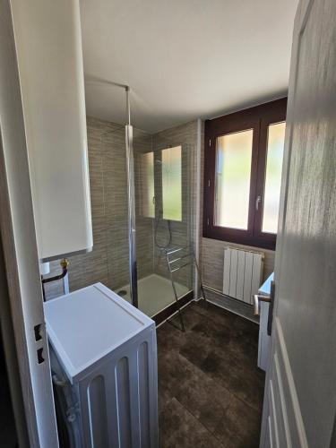 a bathroom with a shower and a chair in it at Appartement 1-4 personnes, Résidence "Le Belouga" in Le Mont-Dore