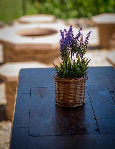 a basket with purple flowers sitting on a table at Orgona Vendégház Golop in Golop