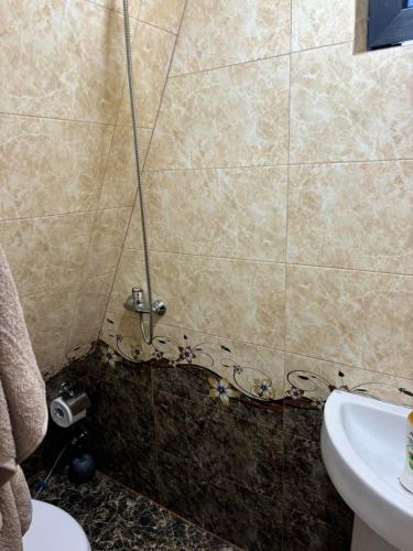 a shower in a bathroom with a toilet and a sink at Zovaber hangsti goti in Sevan