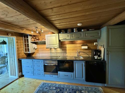 a kitchen with blue cabinets and a sink at Cozy, well-equipped and family-friendly cabin in Geilo in Geilo