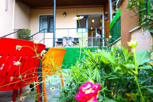 Zahrada ubytování Hotel apartament in ambrolauri სასტუმრო აპარტამენტი ამბროლაურში