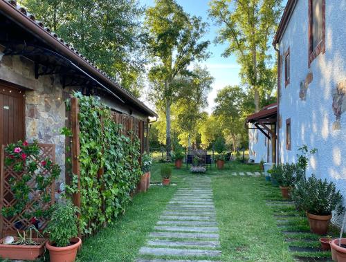 a garden with potted plants next to a building at The Old Watermill Retreat - O Retiro da Azenha Velha in Vila Nova de Poiares