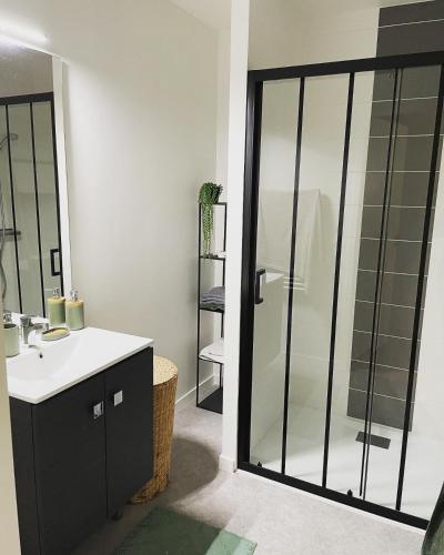 une salle de bain avec un lavabo et une douche en verre dans l'établissement L'Hibiscus - centre ville - parking - 3p, au Mans