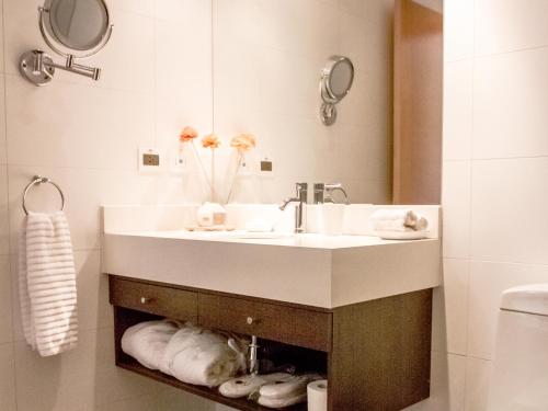 een badkamer met een wastafel, een spiegel en handdoeken bij NOI Puma Lodge in Machalí