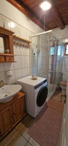 Un baño con ducha, inodoro y lavabo. en Pilisca Holiday Home, en Dobîrlău