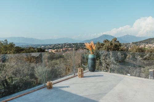 un grand vase vert assis au-dessus d'un toit dans l'établissement Appartement premium de 70m2 avec piscine individuelle, à Grosseto-Prugna