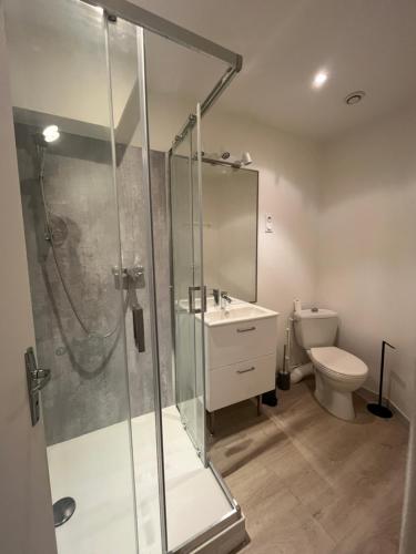 une salle de bain avec une douche, un lavabo et des toilettes dans l'établissement La Place du Château - Vue exceptionnelle sur le château de Blois, à Blois