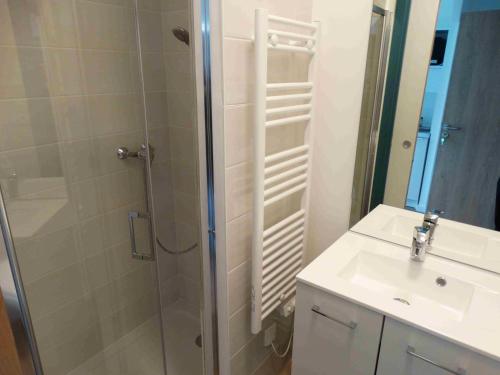 une salle de bain avec douche et lavabo dans l'établissement Studio 8, à Perrigny