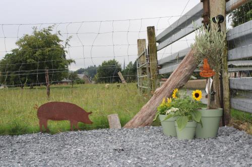 a pig in a field next to a fence with flowers at La Cab'Armande in Libramont