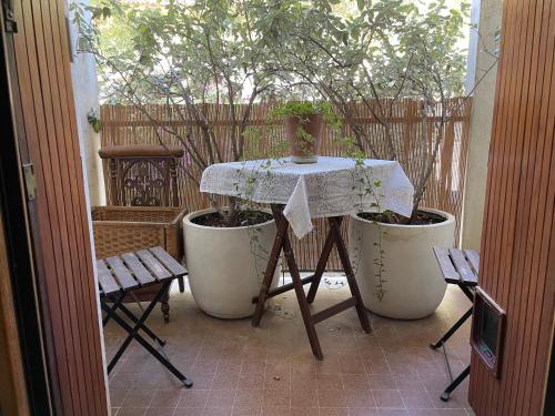 une table et deux plantes en pot sur un patio dans l'établissement Luckymu, à Aix-en-Provence