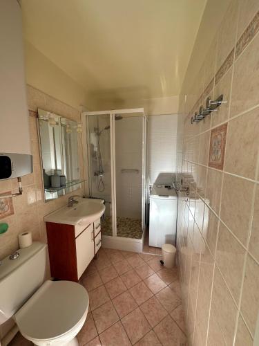 une salle de bain avec toilettes, un lavabo et une douche dans l'établissement T2 cabine tout équipé, 300m mer, à Bormes-les-Mimosas