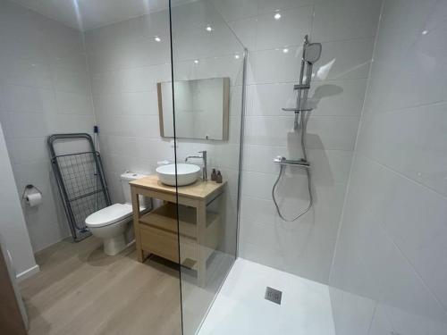une salle de bain avec une douche, un lavabo et des toilettes dans l'établissement Maison de pêcheur à Rosendaël, à Dunkerque