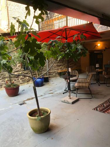 a potted tree in a pot with a red umbrella at Excellent house in Ediger-Eller