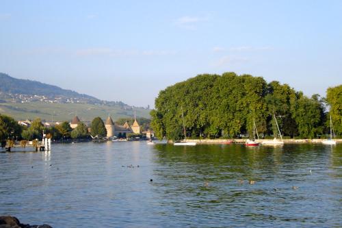 a lake with a bunch of ducks in the water at Chambre D'Hôtes Wellingtonia in Mont-sur-Rolle
