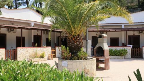 a palm tree in front of a building at Villaggio Elisena in Vieste