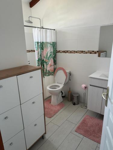 a small bathroom with a toilet and a sink at Gwada FWI Coastal Residences in Le Gosier