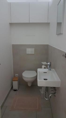a bathroom with a white toilet and a sink at Brunnenpark Ruhepol in Bad Radkersburg