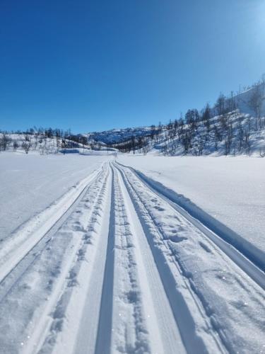 Το Helligskogen Fjellstue med sauna τον χειμώνα