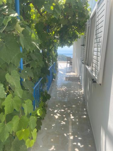Galería fotográfica de Villa ksanthi en Himare